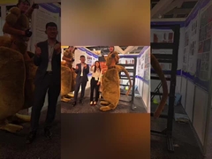 シドニー 建設 博覧 館 に 行った 有益 な 旅行